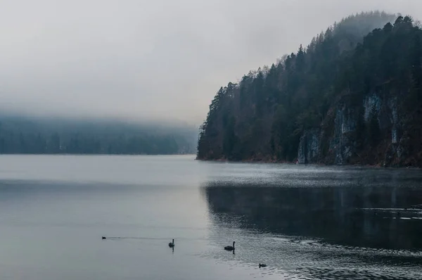 Temprano en la mañana en un lago de montaña silencioso en el bosque —  Fotos de Stock