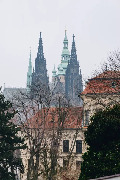 Alte Kathedrale im Nebel — Stockfoto