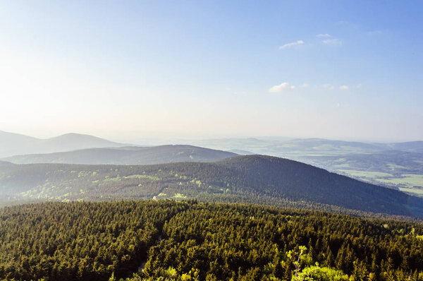 Endless evergreen forest in Czech Republic in the rays of a sunset