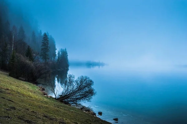 Foggy morning on the border of calm lake in Austrian Alps — Stock Photo, Image