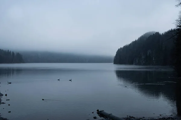 Danau gelap dalam kabut di musim dingin — Stok Foto