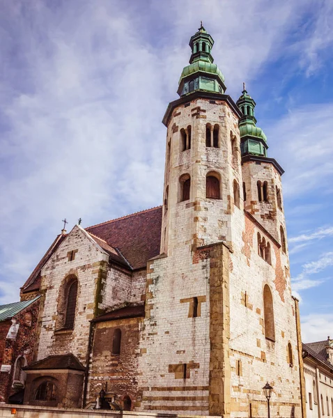 Oude Katholieke Kathedraal Met Troebele Blauwe Lucht Achtergrond — Stockfoto