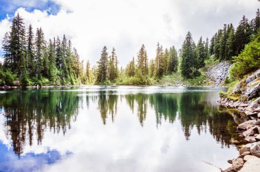 Yeşil Orman ağaçları ile çevrili dağ gölü