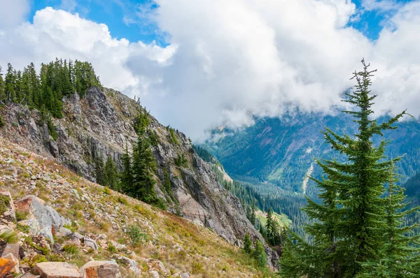 Top of the mountain with couple of green trees on it and large cloud on the background