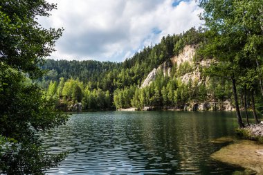 Dağların arasındaki orman gölü 