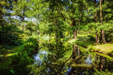 Ulusal parkın ortasında küçük, dar bir nehir.