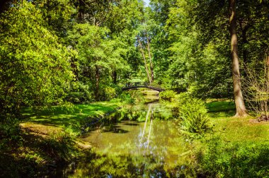 Ortasında küçük bir nehir olan yeşil park.