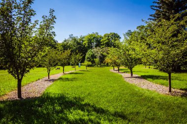 Büyük bahçede yeşil çimenler, arka planda mavi gökyüzü ve sıra sıra ağaçlar.