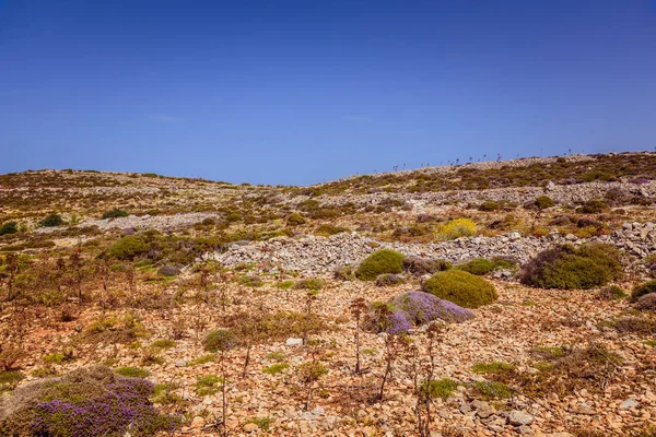 Spektakuläre Aussicht auf die Sommerhitze in der Wüste auf Malta — Stockfoto