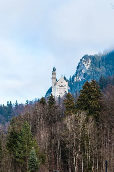 Château de Neuschwanstein sur la montagne au milieu des fores — Photo