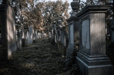 Wroclaw, Polonya - 15 Ekim 2017: Cadılar Bayramı kutlamasından birkaç gün önce, eski mezarlıkta antik bir mezar