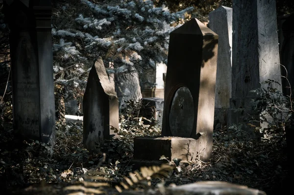 Wroclaw Polonia Octubre 2017 Antiguo Entierro Antiguo Cementerio Pocos Días — Foto de Stock