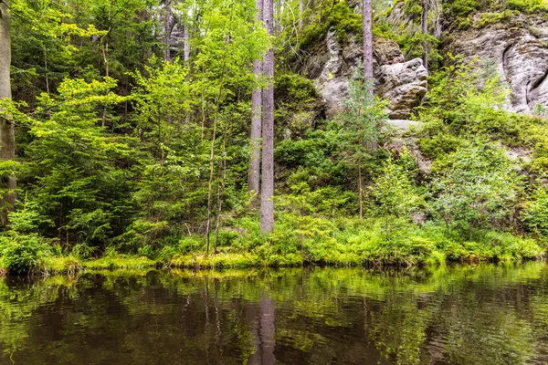 Green Forest Border Calm Dirty River Spring — Stock Photo, Image