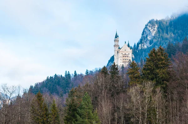 Château Neuschwanstein Sur Montagne Milieu Forêt Avec Rocher Arrière Plan — Photo