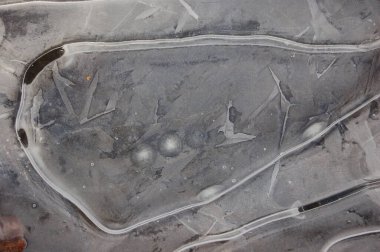 Donmuş bir su birikintisinde buz kalıpları