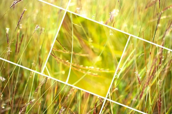 Геометричний трав'яний абстрактний фон з трикутниками та лініями . — стокове фото