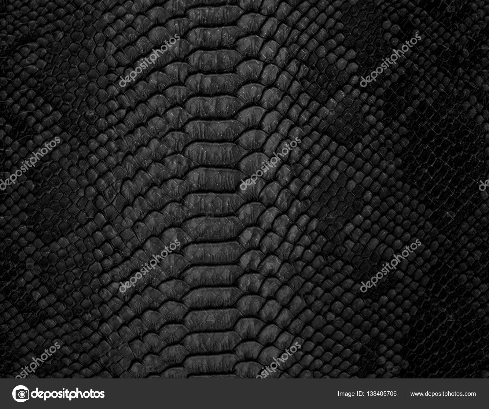 Snake skin background. Close up. Stock Photo by ©b.b.q 138405706