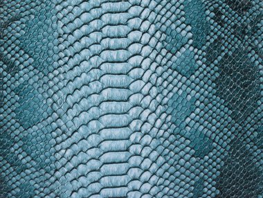 Yılan arka plan cilt. Yakın çekim.