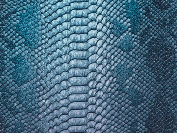 Snake skin achtergrond. Close-up. — Stockfoto