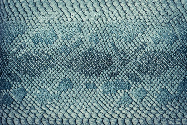 Snake skin achtergrond. Close-up. — Stockfoto