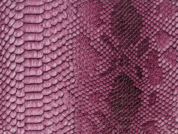 Snake skin achtergrond. Close-up. — Stockfoto