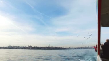 Martı uçan ağır çekim. Istanbul, Sarayburnu'nda.