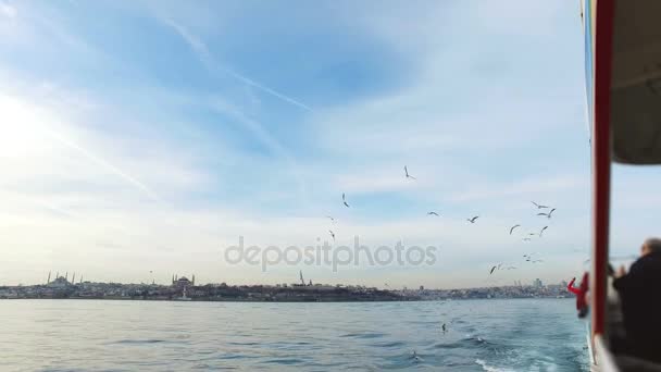 Gaviota volando en cámara lenta. Estambul, Sarayburnu . — Vídeos de Stock