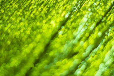 Yeşil bokeh. Arka plan.