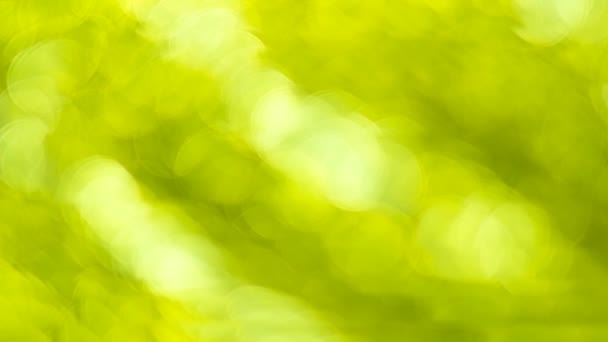 Bokeh Verde Sfondo Astratto Luci Sfocate Filmati Alta Qualità — Video Stock