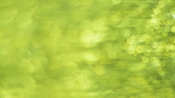 Green Bokeh Abstract Background Defocused Lights High Quality Footage — Stock Video