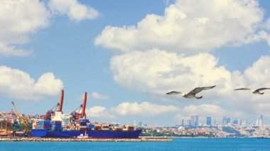 Cinemagraph - konteyner kargo yük gemisi vinç köprü tarafından. 4 k yüksek kaliteli görüntüleri.