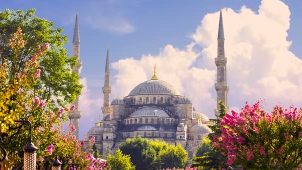 Cinemagraph Sultan Ahmed Mosque Mezquita Azul Estambul Turquía Imágenes Alta — Vídeo de stock