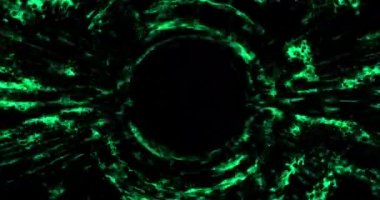 Technological background with animation of flying into digital tunnel from flickering particles. Animation of seamless loop.