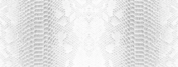 Huidslang Achtergrond Witte Slang Huid Textuur Close — Stockfoto