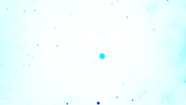 Abstract White Background Dark Blue Flying Particles — Stock Video