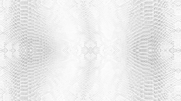Abstract Parallax Background Texture White Snake Skin Python Pattern Stylish — Stock Video