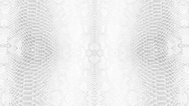 白いヘビの皮の抽象的なパララックスの背景テクスチャパイソンパターンスタイリッシュなファッションアニメーション — ストック動画