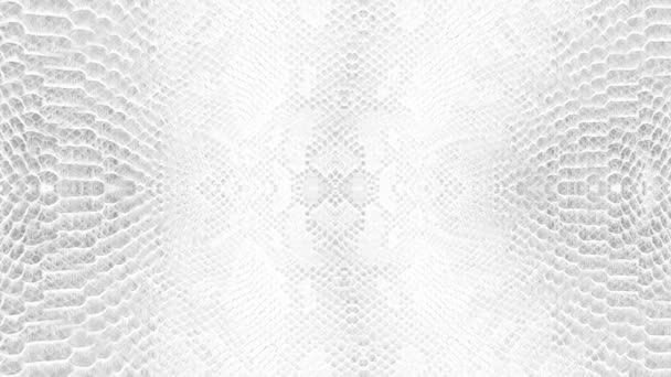 白いヘビの皮の抽象的なパララックスの背景テクスチャパイソンパターンスタイリッシュなファッションアニメーション — ストック動画