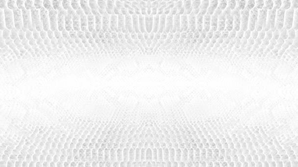 Abstraktní Paralaxní Pozadí Textury Bílé Hadí Kůže Python Vzor Stylové — Stock video