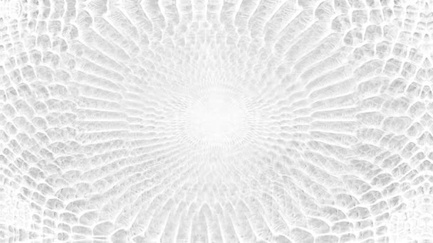 Abstrait Parallaxe Texture Fond Peau Serpent Blanc Motif Python Animation — Video