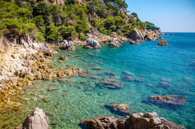 panoramik manzaralı sahil rock cliff ile