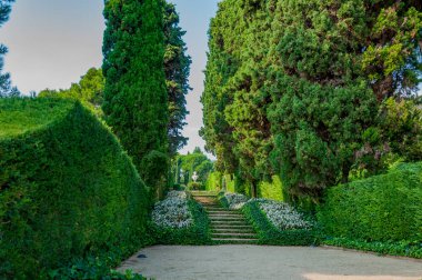 güzel bir park ile parlak yeşil manzarası