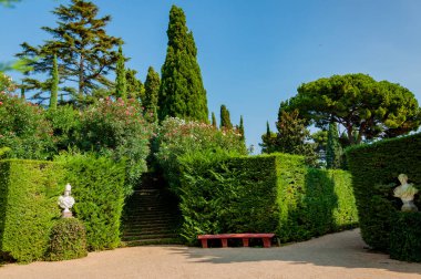 güzel bir park ile parlak yeşil manzarası