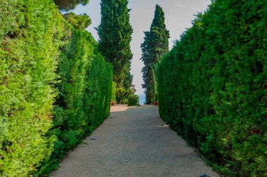 güzel bir park ile parlak yeşil manzarası
