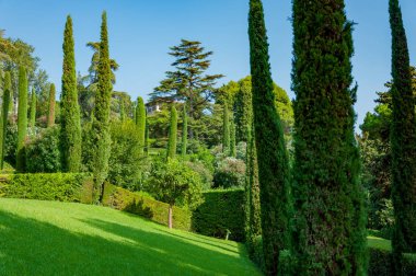 güzel bir park ile parlak yeşil manzarası