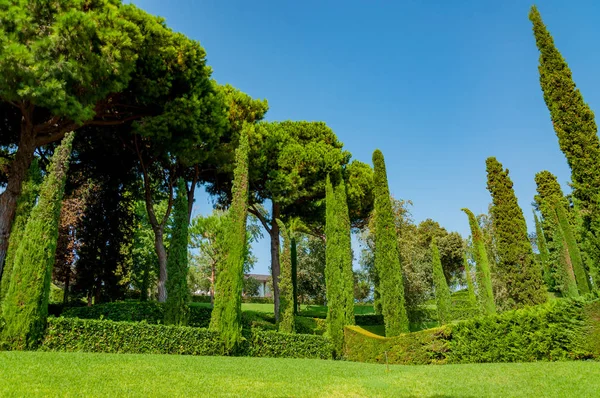 güzel bir park ile parlak yeşil manzarası