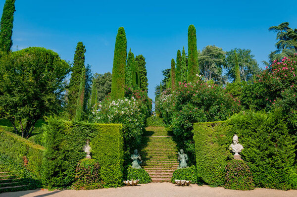 beautiful view of the park with bright greenery