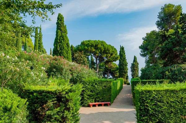 Belle vue sur le parc avec une verdure lumineuse Images De Stock Libres De Droits