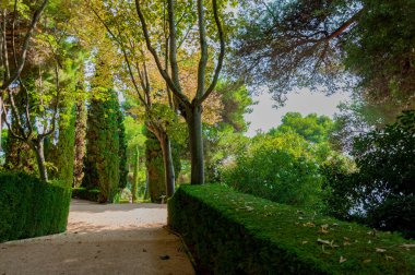 geçit Park ile parlak yeşil