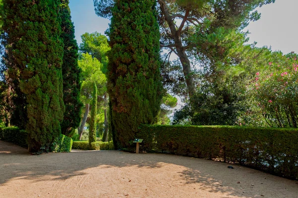 geçit Park ile parlak yeşil